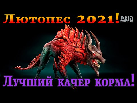 Видео: Raid Shadow Legends | ЛЮТОПЕС  2021 |  Как сделать лучшего качера корма!