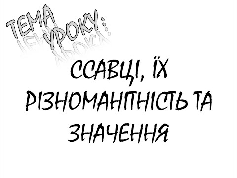 Видео: ССАВЦІ, ЇХ РІЗНОМАНІТНІСТЬ ТА ЗНАЧЕННЯ