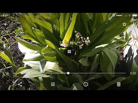 Видео: Невязальные моменты/ обзор моего участка весной/ один день со мной в огороде