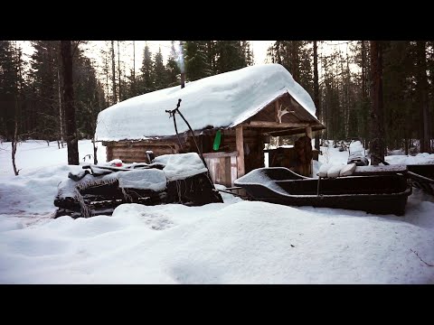 Видео: РАССТАВИЛИ ЖЕРЛИЦЫ И ПОНЕСЛАСЬ! / 3 ДНЯ В ЗИМНЕЙ ТАЙГЕ / ПРОБИВАЕМСЯ К ИЗБЕ / 100 КМ НА ТОФАЛАРЕ /1Ч