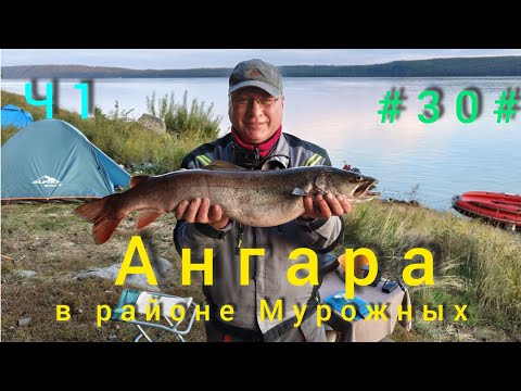 Видео: Рыбалка на Ангаре выше посёлка Кулаково. 2025