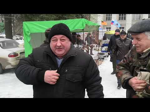Видео: Ярмарка голубей г. Красный Луч 25.02.23г