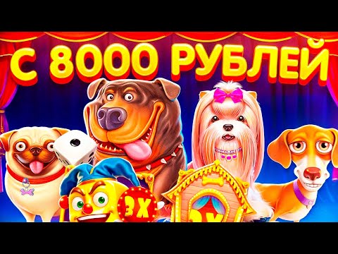 Видео: ПОДНЯЛСЯ С 8.000р В ТРЕХ СОБАКАХ И СЛОВИЛ 500х В The Dog House Multihold /  ЗАНОС НЕДЕЛИ В ДОГ ХАУС