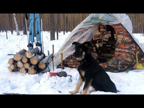 Видео: Два дня в марте с Собачкой. (рассказ)