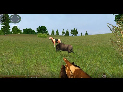 Видео: Hunting Unlimited 2010:Охота на кабана.