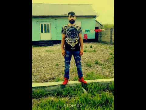 Видео: богар