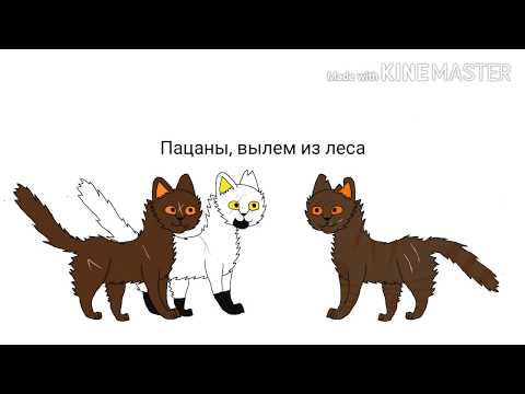 Видео: Стань диким в двух словах (Коты-Воители)