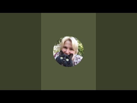 Видео: У каналі Життя в селі відбувається прямий ефір.