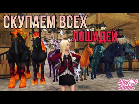 Видео: ПОКУПАЕМ ВСЕХ ХЭЛЛОУИНСКИХ ЛОШАДЕЙ В Star Stable Online!