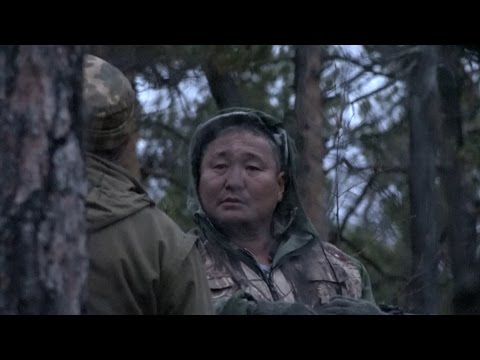 Видео: Охотничья пора. Осенняя Амга. #211 (10.02.2017)