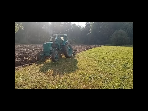 Видео: Трактор т 40, пашем покос
