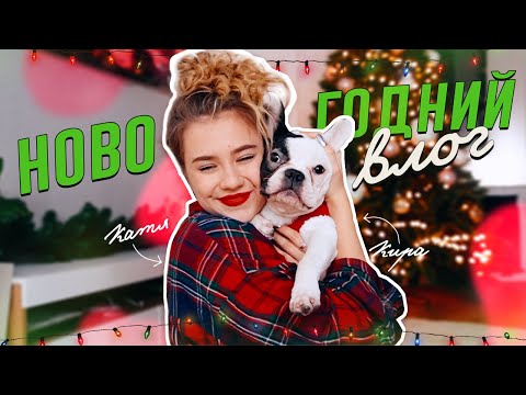 Видео: Новогодний Vlogmas! Наряжаем ёлку❤️