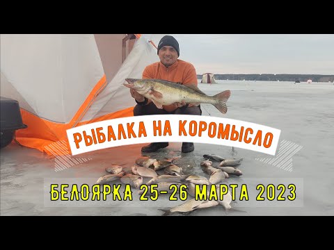 Видео: Судак на 5кг и лещи на коромысло. Белоярка 25-26 марта 2023