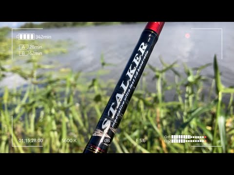 Видео: Новый Hearty Rise Stalker SRE 762L. Осенний лайтовый джиг на реке.