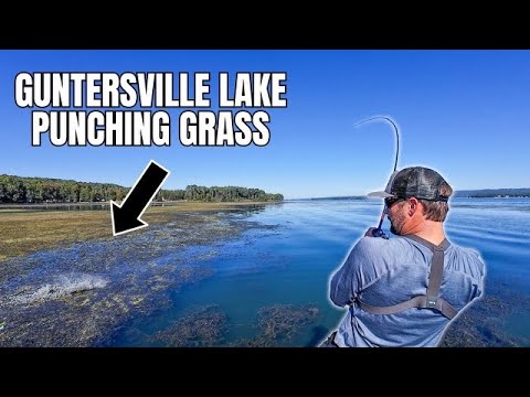 Видео: Выбиваем траву на озере Гантерсвилл! (Осенний рисунок)