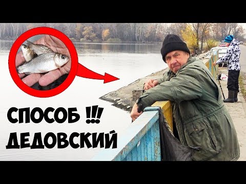 Видео: РЫБАЛКА на ЖИВЦА с ОТВОДНЫМ ПОВОДКОМ и ПОПЛАВКОМ