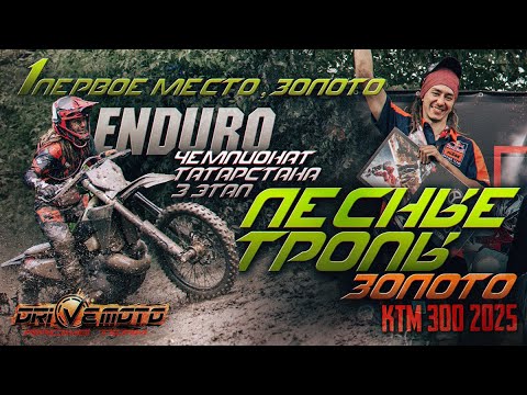 Видео: Лесные тропы 2025, 1 место, класс золото