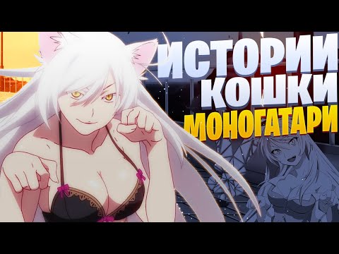 Видео: White Area - Истории кошки | Ханекава Цубаса | Моногатари | Monogatari Rap