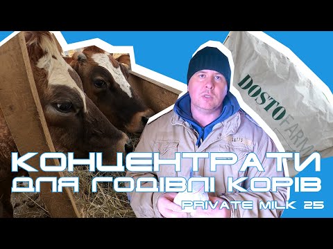 Видео: Скільки корові потрібно давати концентратів? Достофарм | Private Milk |Травецький