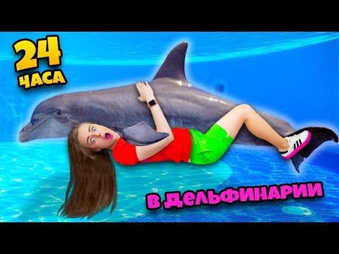 Видео: 24 Часа в ОГРОМНОМ ДЕЛЬФИНАРИИ Челлендж ! Плаваем с АКУЛАМИ