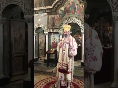 Видео: Епископ мохачки Исихије, Мошорин, 22. 5. 2021.