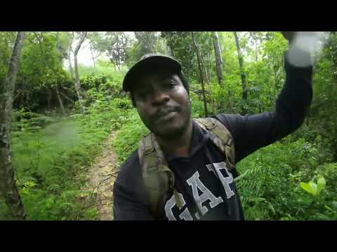 Видео: Ураган Мелисса 5 категории | Краткий обзор района