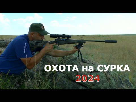 Видео: Охота на сурка 2024. Выстрелы в кадре! Замедленная съемка! Слабонервным не смотреть!!!