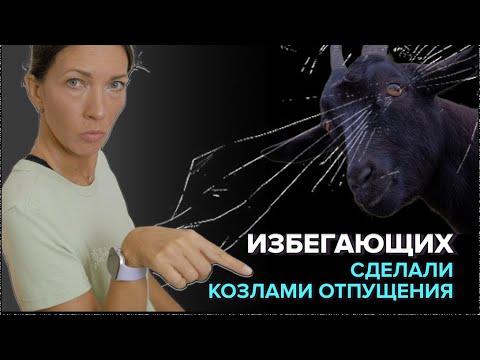 Видео: 5 вредных мифов об избегающем типе привязанности, в которые многие верят