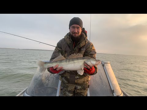 Видео: Веселовское водохранилище. Первый день. 23 октября 2021. Ловим судака!