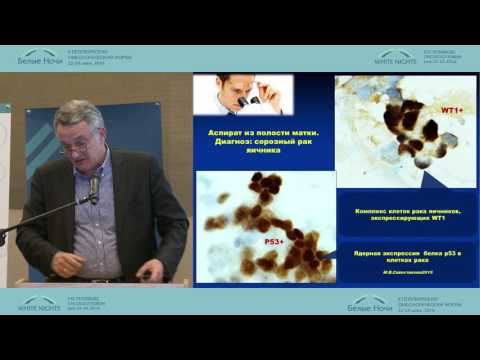 Видео: Новое в патогенезе рака яичников