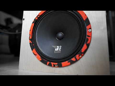 Видео: БУДУЩЕЕ НАСТАЛО! Динамики на NEO магнитах GRYPHON PRO NEO 200