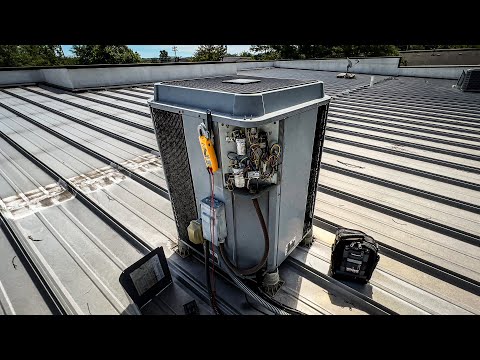 Видео: Я НЕ ОЖИДАЛ ЭТОГО…