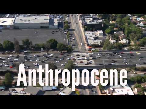 Видео: Шестое вымирание