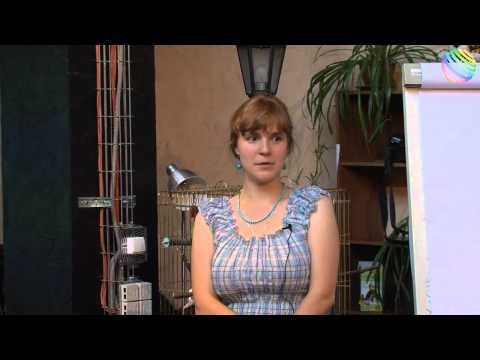 Видео: "Как я открыл НКО" Лиза Олескина