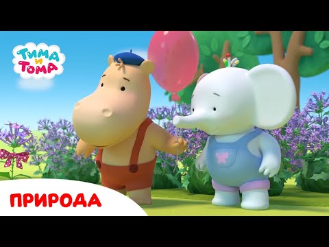 Видео: Тима и Тома. Природа. Лучшие серии! Сборник 2023