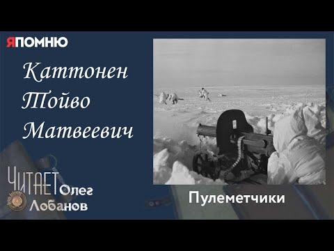 Видео: Каттонен Тойво Матвеевич. Проект "Я помню" Артема Драбкина. Пулеметчики.