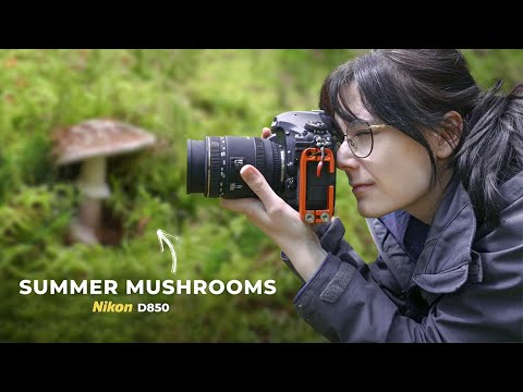 Видео: Лес живой! Макросъемка на Nikon D850