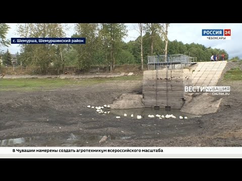 Видео: В Шемурше после ремонта плотины исчезает водоем