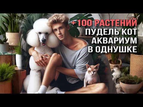 Видео: КАК ЖИВЕТ ПАРЕНЬ В ОДНУШКЕ ГДЕ 100 РАСТЕНИЙ, ПУДЕЛЬ, КОТ И АКВАРИУМ?🥴🍀