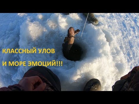 Видео: Ловля налима на стук, классный улов !!! ( Талакан , Бурейское водохранилище, Амурская область)