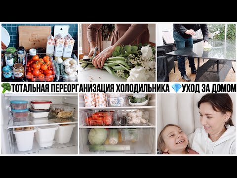 Видео: 🍇ИДЕАЛЬНАЯ ОРГАНИЗАЦИЯ В ХОЛОДИЛЬНИКЕ💎УХОД ЗА МРАМОРОМ И ГРАНИТОМ🧼УБОРКА И ОРГАНИЗАЦИЯ В КУХНЕ