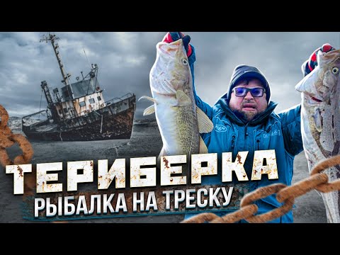 Видео: Териберка - Путешествие на Кольский полуостров. Териберка рыбалка на треску!