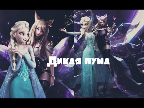 Видео: Дикая пума. Эльза .