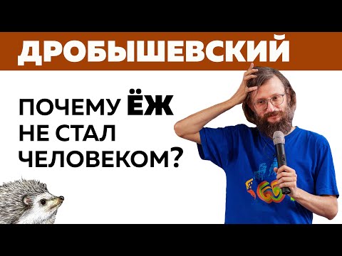 Видео: Дробышевский – почему еж не стал человеком