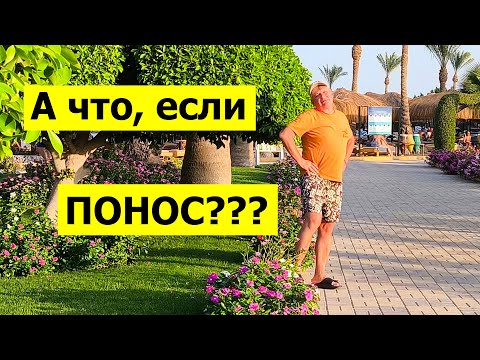 Видео: ЧТО СИЛЬНЕЕ? Понос или бибиканье в Египте?