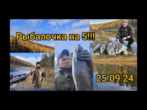 Видео: Хороша рыбалочка !!! Усть-Кут. Сибирь!!! #рыбалка #река #ленки #сибирь #природа