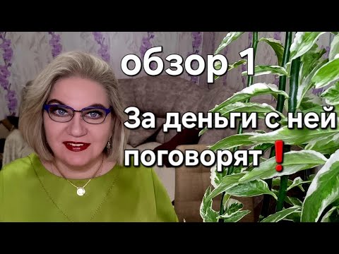Видео: За деньги с ней поговорят❗️