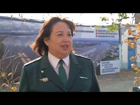 Видео: Работа таможни