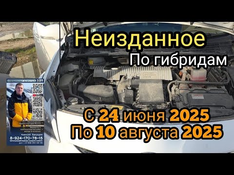 Видео: Неизданное по гибрида с 24 июня 2025 по 10 августа 2025