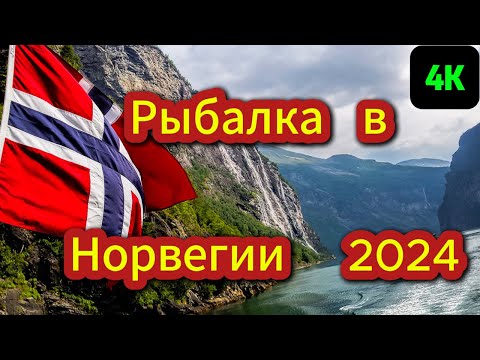 Видео: Лучший день за всю неделю Морской Рыбалки в Норвегии, Рыбалка и Отдых на Vandve.